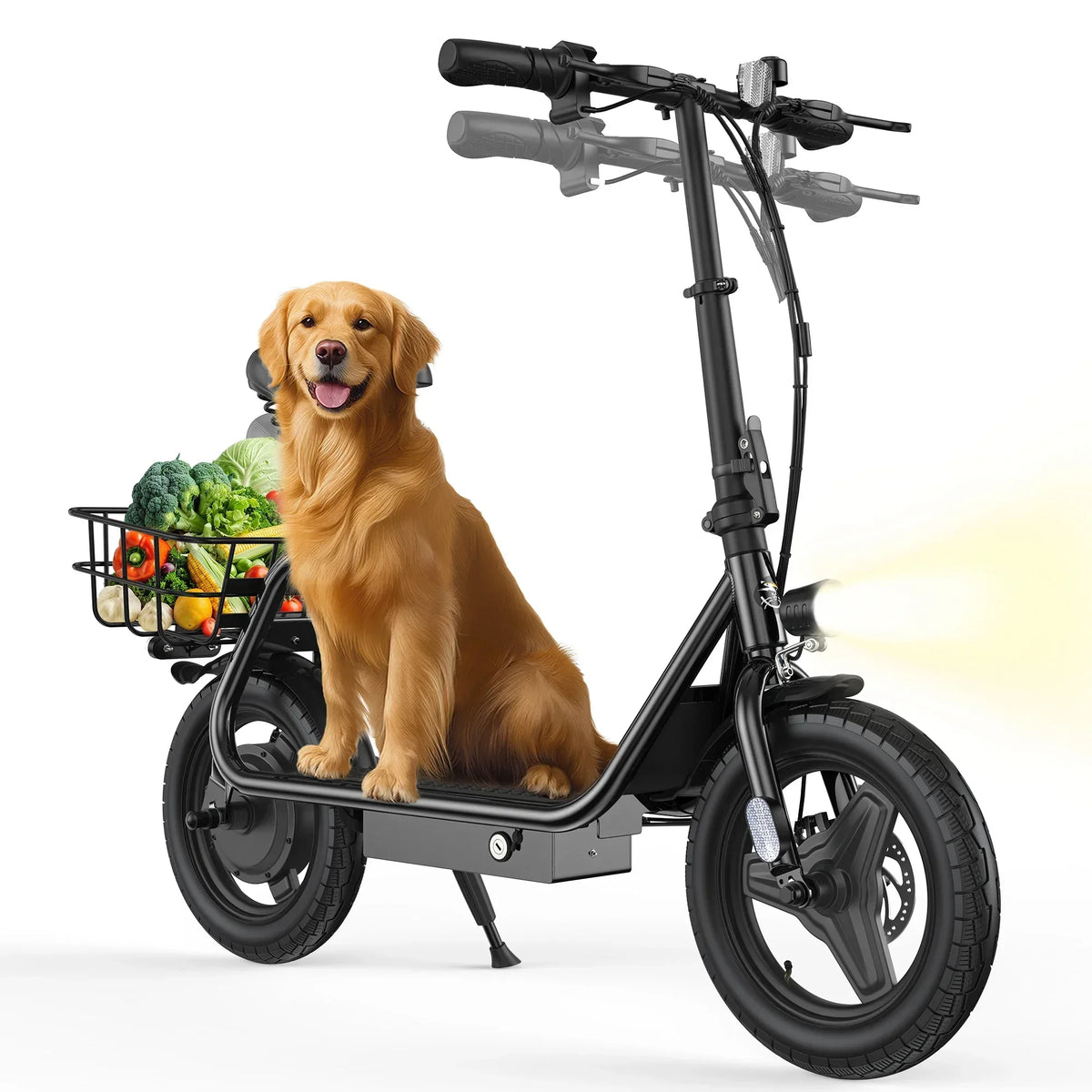 Varun P2 500W Escooter Foldable City Commuter 40 To 60km